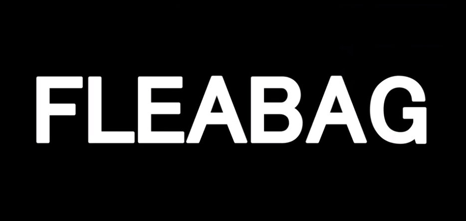 Fleabag TV show poster