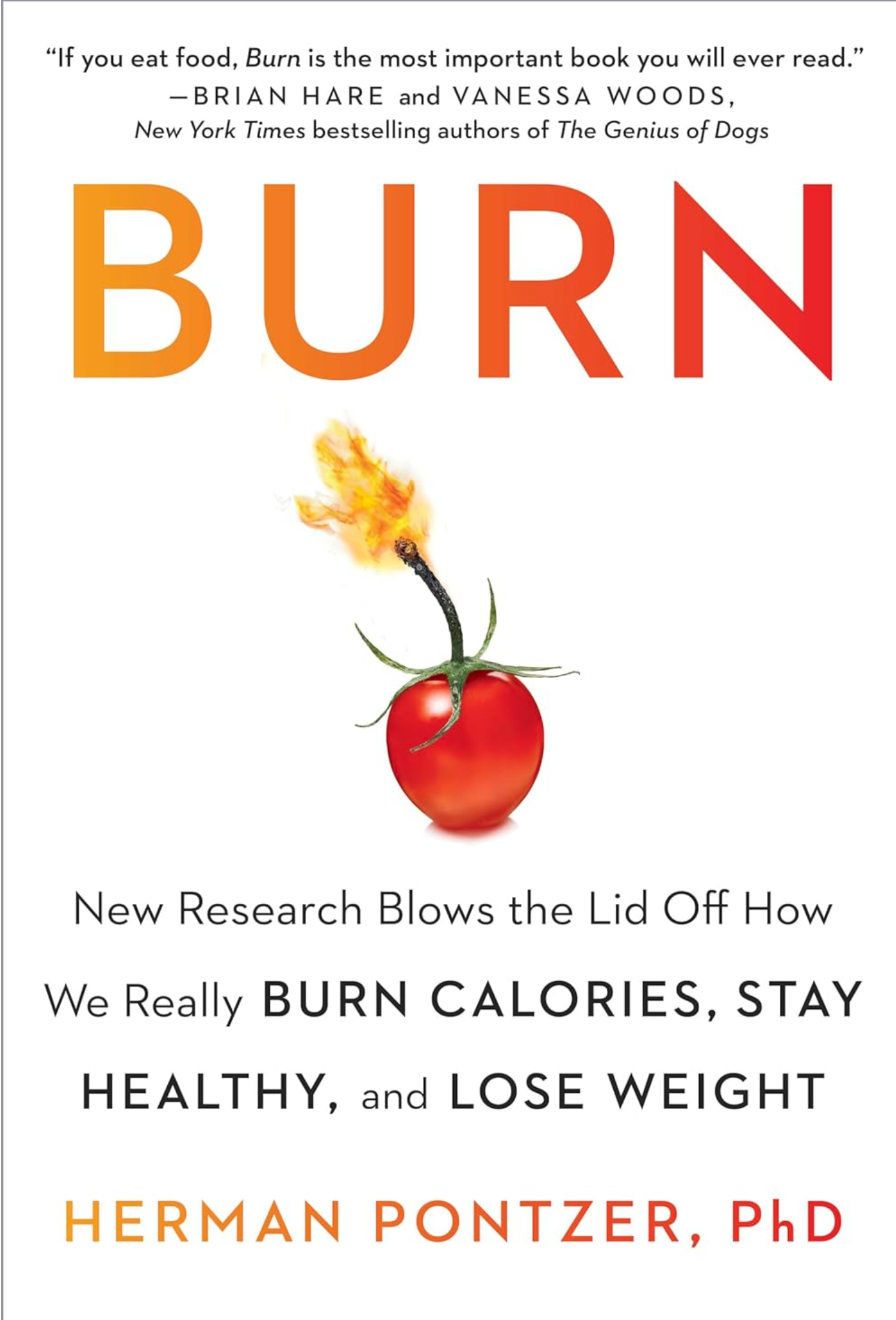 Burn book cover