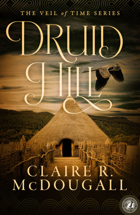Druid Hill: A Veil of Time Novel
